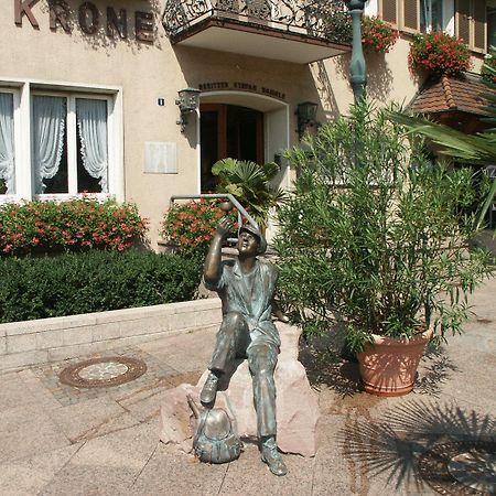 Hotel Krone Нойенбург ам Рейн Екстериор снимка